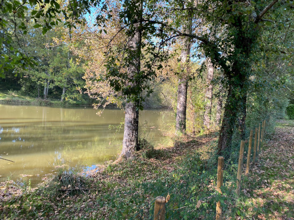 Etang