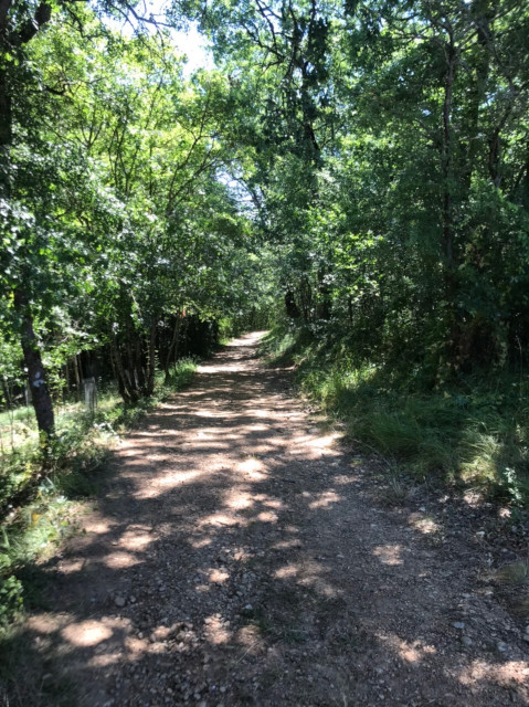 Randonnées aux alentours du camping du Faucon d'Or